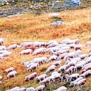 세븐일레븐(김해진영주천점) 이미지