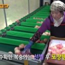 일식농장 이미지