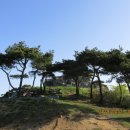 봉화산 솔바람길 이미지