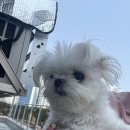 깎을건댕? 이미지