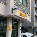 고양이분양 반하나캣 이미지