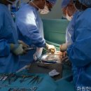 현대요양병원 네이버블로그