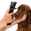 센텀동물병원 이미지