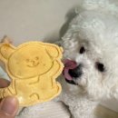 더밤비평택