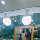 씨채널분평점 이미지