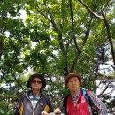 정일석 | ‘19.06.02.봉명산(408m)