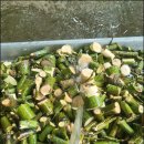 채기농장 이미지