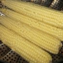 노래하는 하모니카 이미지