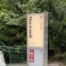 [가야] 부산 동의대 애견 동반 카페 &#39;마르지모크&#39; 방문 후기