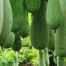 백곡농장 이미지