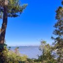 구봉도(제1대부해솔길) 화장실 이미지