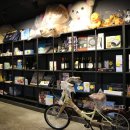 청춘물고기 이미지