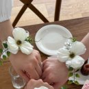 아임스튜디오 이미지