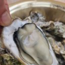 물항포차 | 김포 단체예약 가능한곳 신년회 모임장소 회사모임 장소_제철이네포차