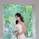 D12 | D12 | 에델린 꾸뛰르 슬림 드레스 촬영 후기💛