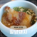 일념돼지마곡 | 마곡 고기집 찾는다면 일념돼지 재방문 후기