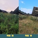 영광1호 태양광발전소 이미지