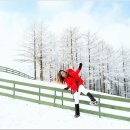 설화목장 이미지