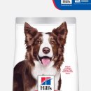 퍼펙트바이트 이미지