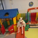 코코스 | 제주 코코스펜션후기/아기랑 가기좋은숙소(26.2.12-26.2.20)