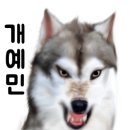 닥터호오 동물병원 이미지