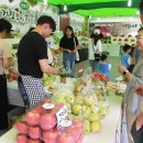 거창-거창-5 이미지