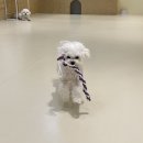 견생낙원 이미지