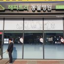 해피트리 동물병원 이미지