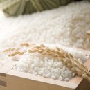 (주)선택 이미지