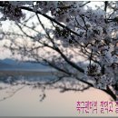 달성식당 이미지