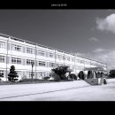 감포중학교 이미지