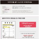 일랑더치 이미지