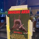 꾸꾸하우스 이미지