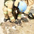 대원메디컬 이미지