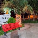 스테이숑 이미지