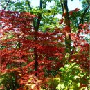 반산낚시터 이미지