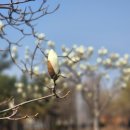 파트너 문구 이미지