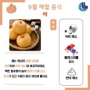 9월 제철 음식 이미지