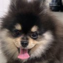 우하하 네이버블로그