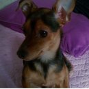 강남-010 이미지