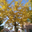 세지초등학교 이미지