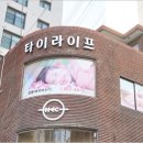 타이라이프