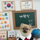 까까멍멍 이미지