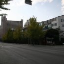 사파동128 이미지