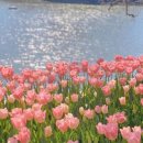 아크릴화 힐링 클래스 이미지