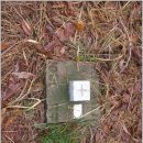 은빛가든 이미지