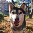 천지동물병원 이미지