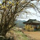 고향산촌 이미지