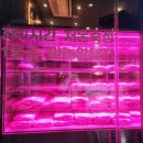 새내농장 이미지