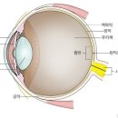 변안과 네이버블로그